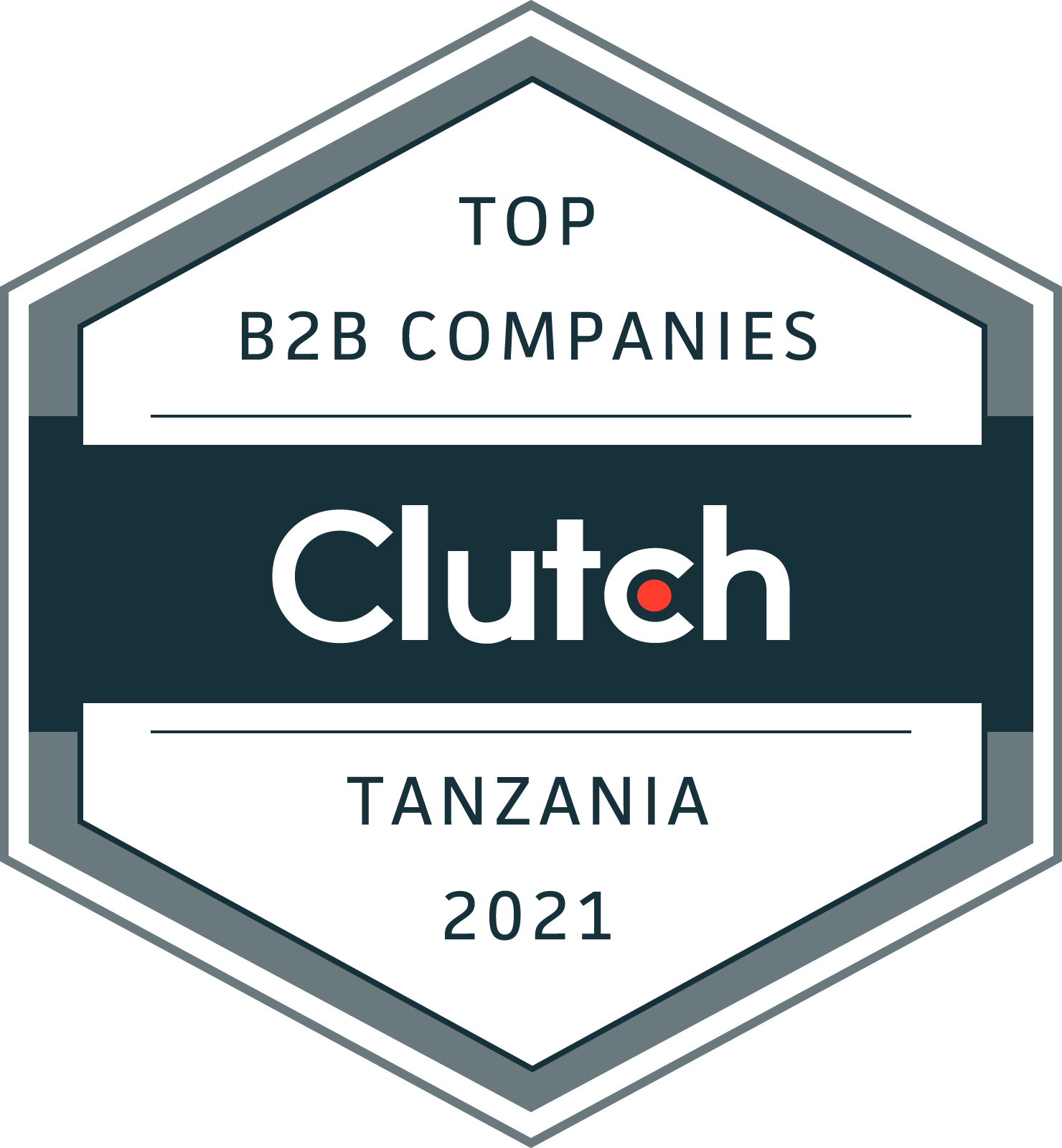 Clutch Recognizes Elegant Codes Among Tanzania’s Top Web Developers for 2021